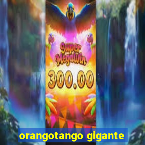 orangotango gigante